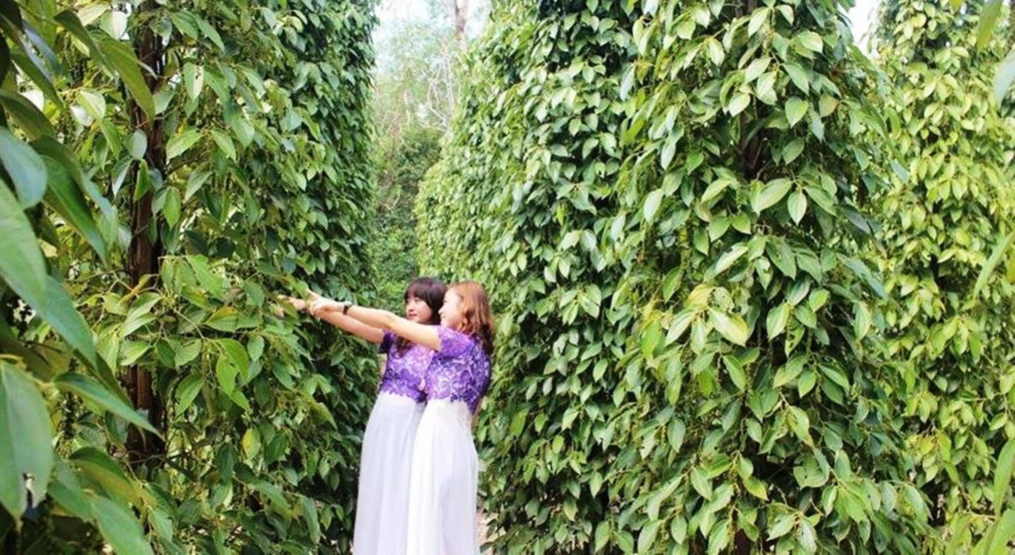 Pepper Farm Phu Quoc Hotell Eksteriør bilde
