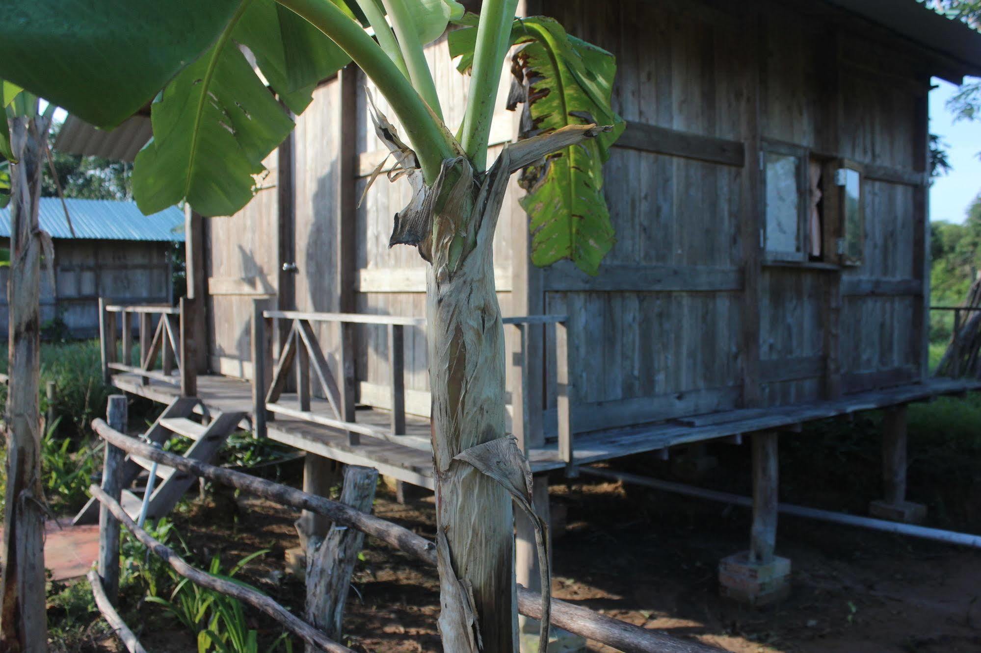 Pepper Farm Phu Quoc Hotell Eksteriør bilde