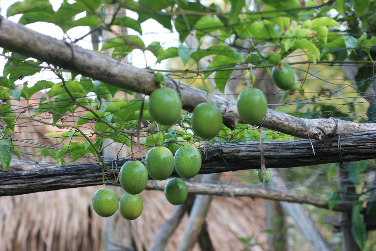 Pepper Farm Phu Quoc Hotell Eksteriør bilde